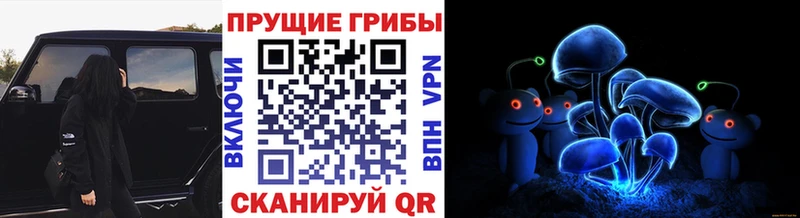 Галлюциногенные грибы ЛСД  Кимры 